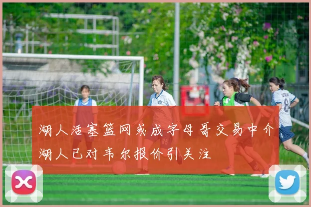 湖人活塞篮网或成字母哥交易中介湖人已对韦尔报价引关注
