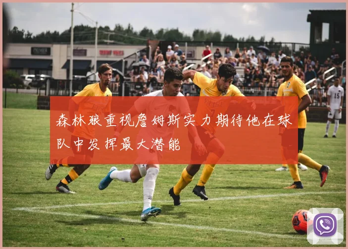 森林狼重视詹姆斯实力期待他在球队中发挥最大潜能
