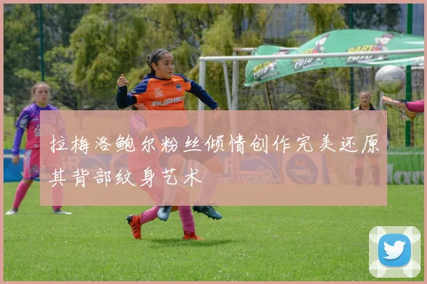 拉梅洛鲍尔粉丝倾情创作完美还原其背部纹身艺术